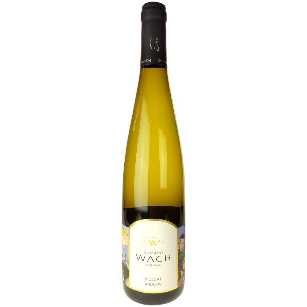Alsace Muscat Andlau 2025 Domaine Guy Wach